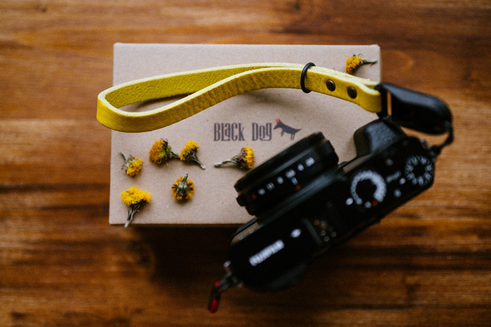 BlackDog Cuff Yellow Submarine