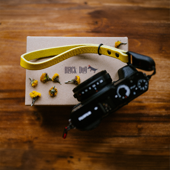 BlackDog Cuff Yellow Submarine