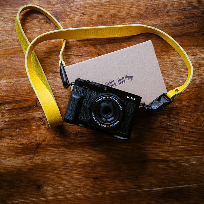 BlackDog strap Lite Slim Yellow Submarine