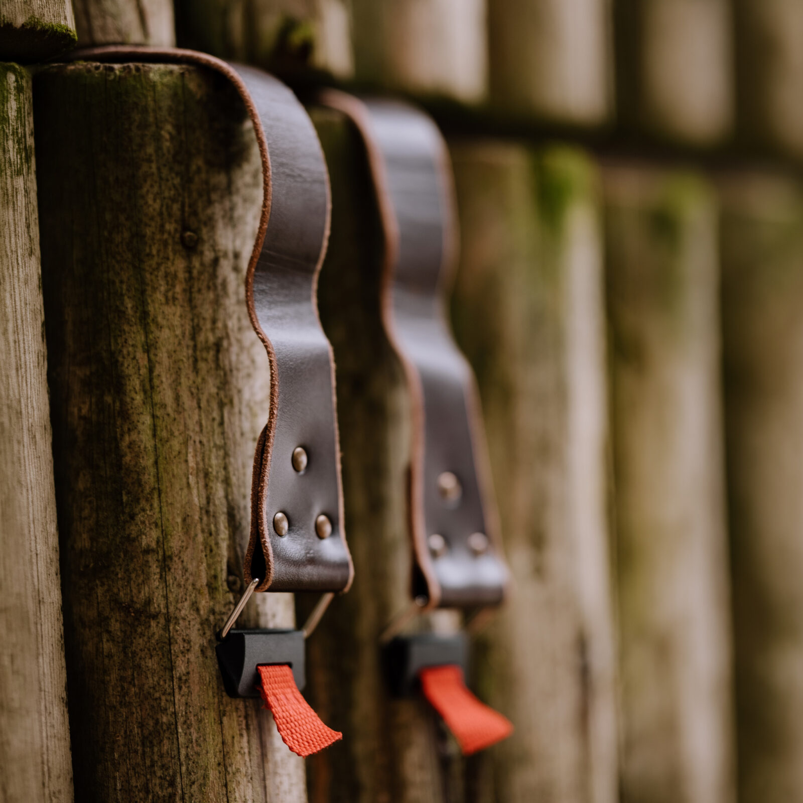 BlackDog DoubleBridge