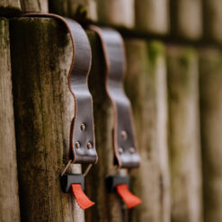 BlackDog DoubleBridge